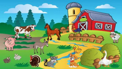 儿童找动物安卓版下载-儿童找动物手游下载
