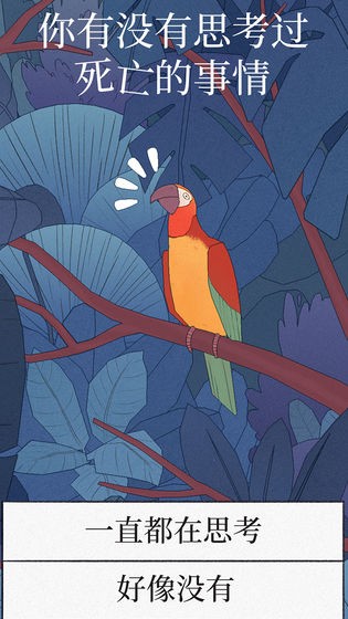 孤独的鹦鹉游戏下载安装-孤独的鹦鹉最新免费版下载