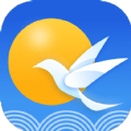 云雀天气app下载-云雀天气安卓最新版下载1.0.0