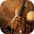 大音乐家app官方下载安装-大音乐家软件下载1.1