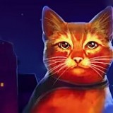 老鼠猫模拟器游戏下载-老鼠猫模拟器游戏最新版1.0