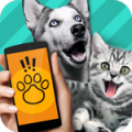 小动物翻译对话软件APP手机版-小动物翻译对话软件APP最新版v1.0