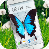 Butterfly in Phone lovely joke官方版下载-Butterfly in Phone lovely jokeapp下载v1.0