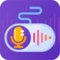 手游语聊变声器安卓下载-手游语聊变声器app下载v1.0.01